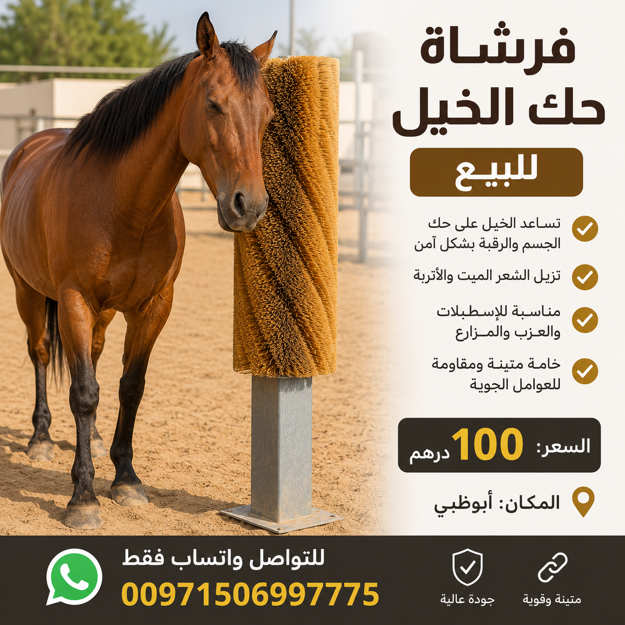 فرشاه حك للخيل